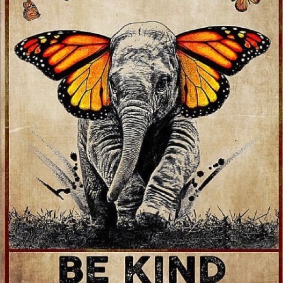 Meet your Posher, Laureen - Picture 2 of 6